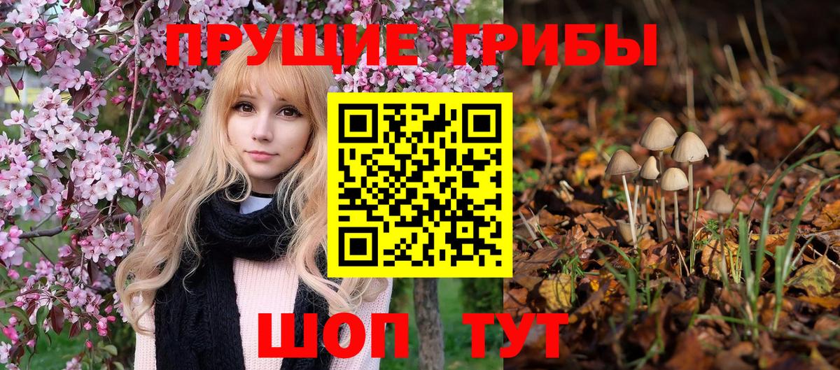 Галлюциногенные грибы GOLDEN TEACHER Шахты